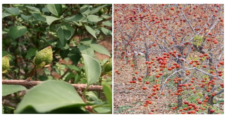 圖片關(guān)鍵詞 圖片關(guān)鍵詞